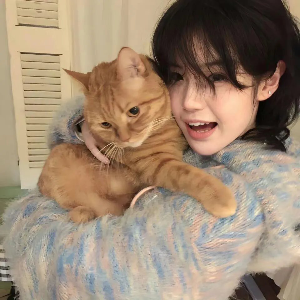 我爱古诗词第三季